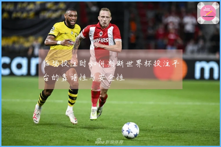 临场投注时如何判断世界杯投注平台的靠谱性与安全性