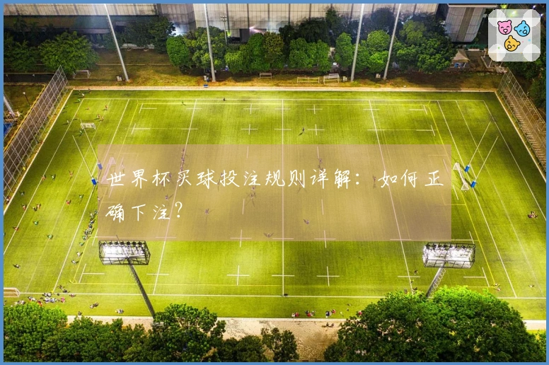 世界杯买球投注规则详解：如何正确下注？