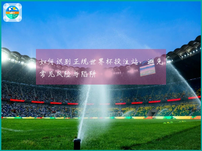 如何识别正规世界杯投注站，避免常见风险与陷阱