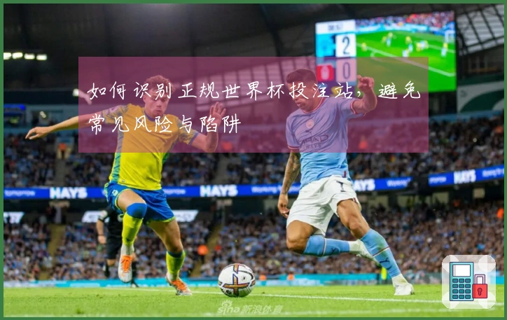 如何识别正规世界杯投注站，避免常见风险与陷阱